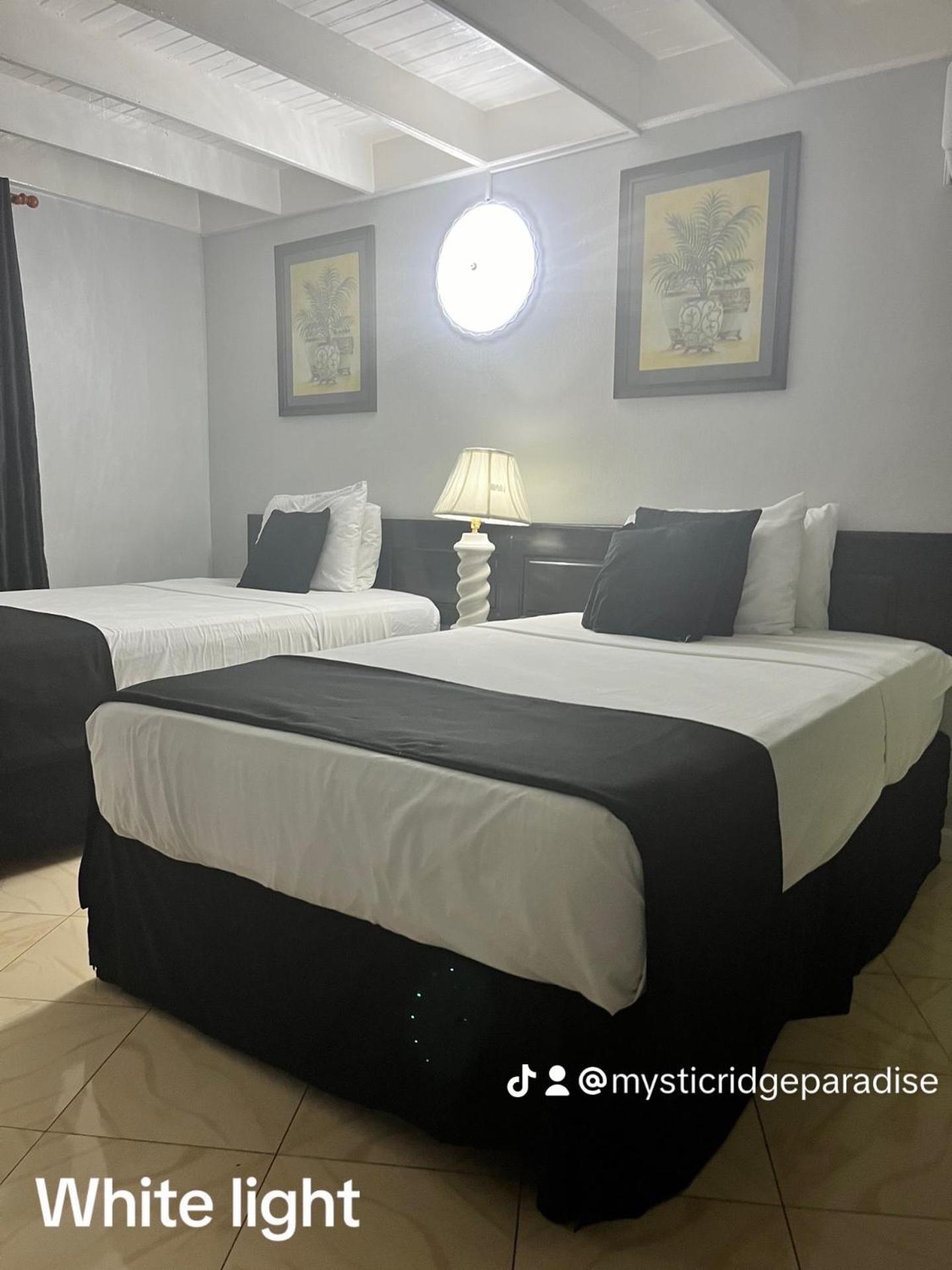 Mystic Ridge Paradise Ocho Rios Kültér fotó